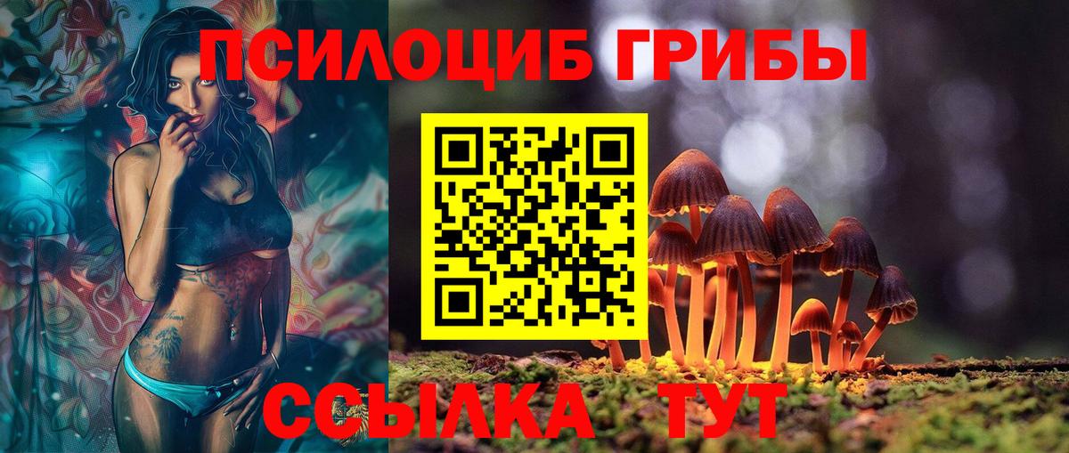 Донской  Псилоцибиновые грибы мицелий  Вход с VPN 