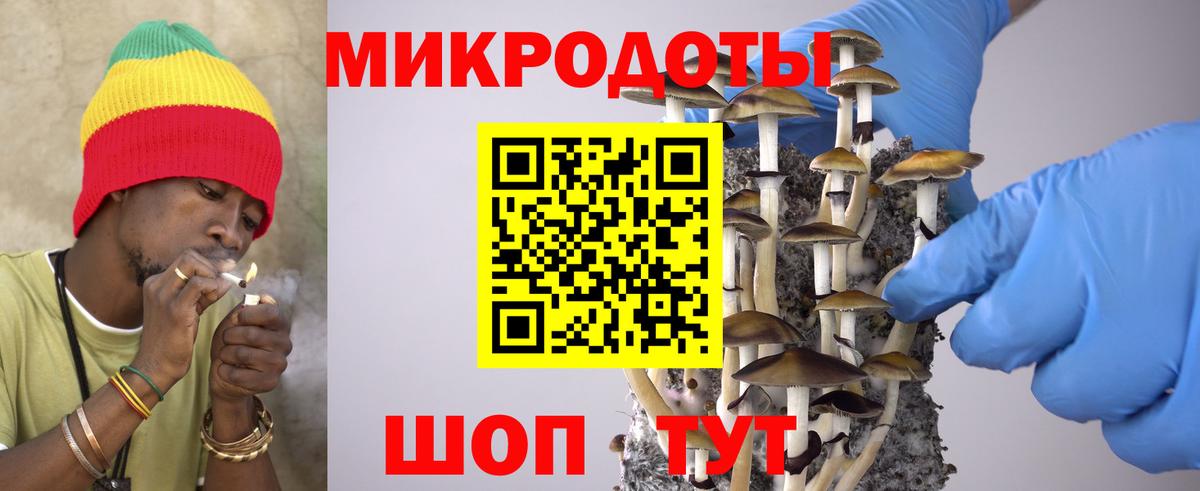 Галлюциногенные грибы мухоморы Донской